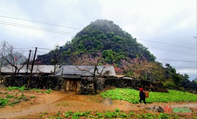 Gallery - Đồng bào dân tộc thiểu số Hà Giang đón Tết ấm no nhờ có Đảng